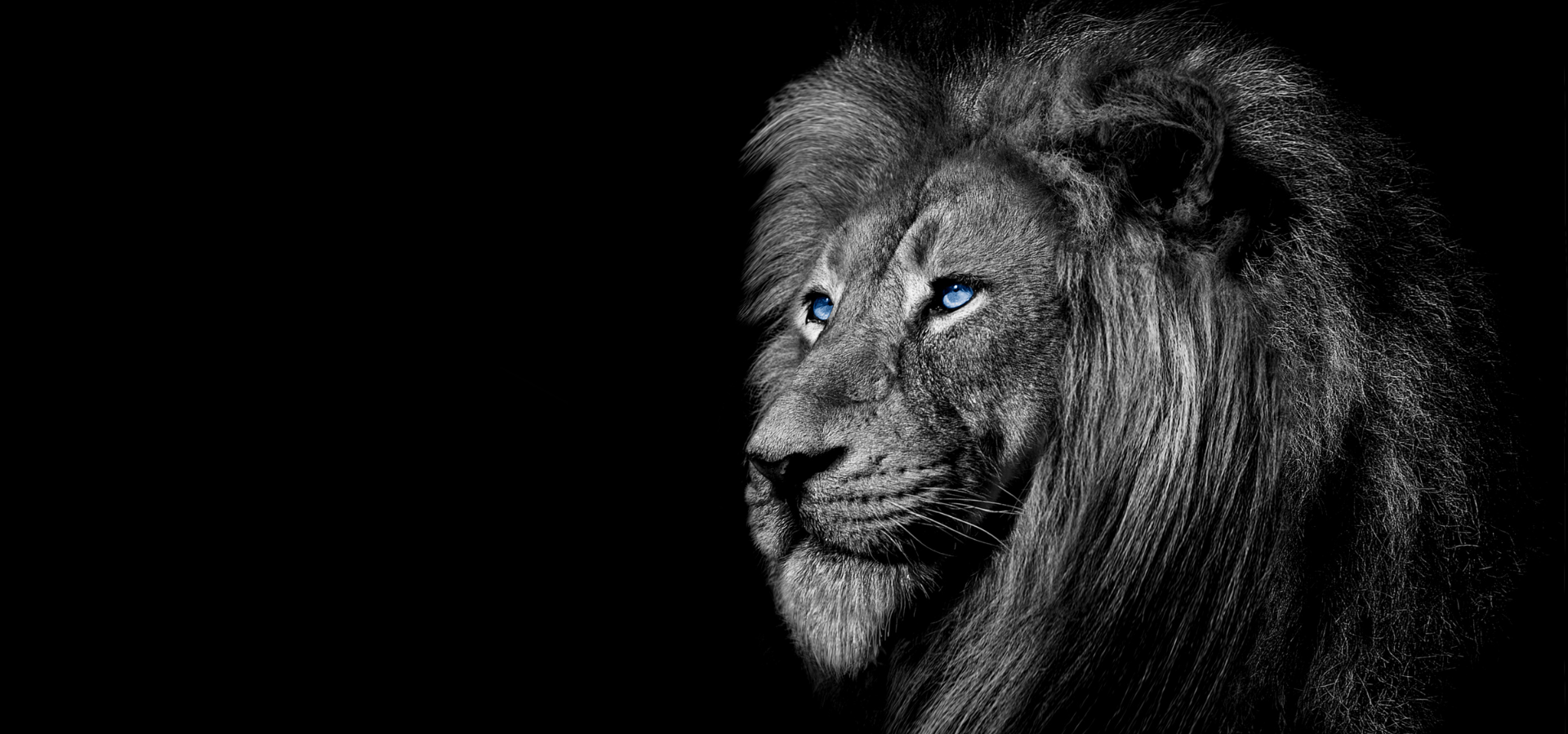 MIKANNE SAFARIS SLIDE