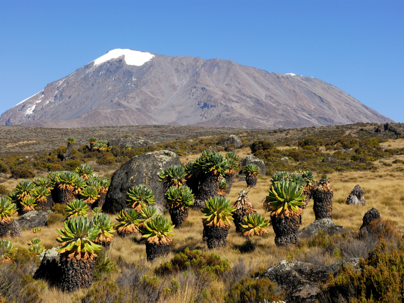 mount kilimanjaro