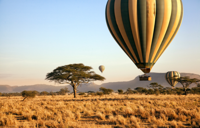 BALLOON SAFARI