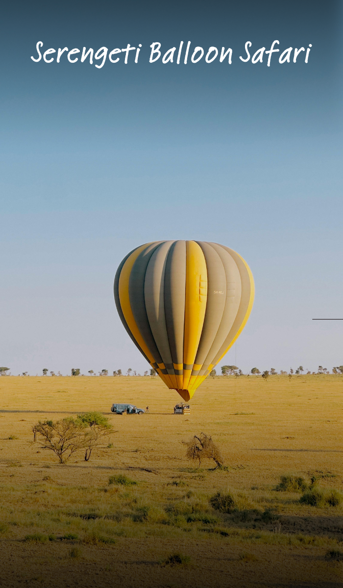 Serengeti Balloon Safari
